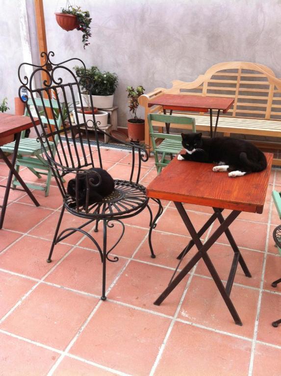Ai Frutti Di Una Volta Room&Breakfast Ferrara Dış mekan fotoğraf